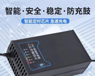48伏电瓶能用于照明充电器充电吗？充电安全吗？