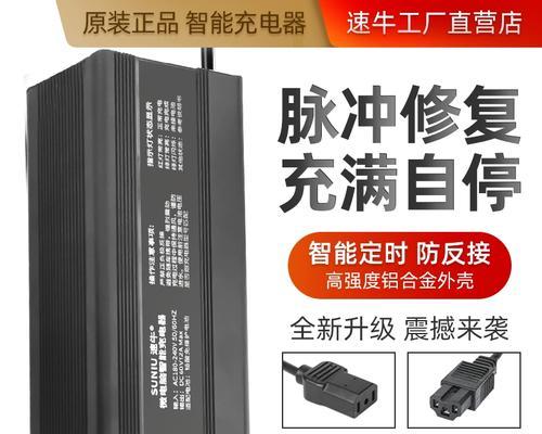 48伏电瓶能用于照明充电器充电吗？充电安全吗？