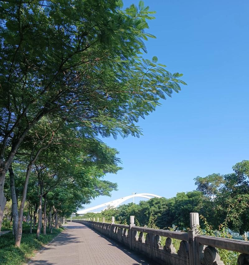 蓝厂手机如何拍出高质量的拍照图片大赏？