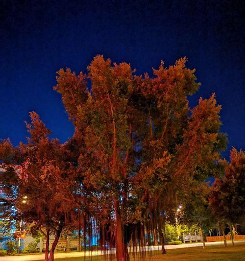 校园夜景用手机如何拍出好照片？