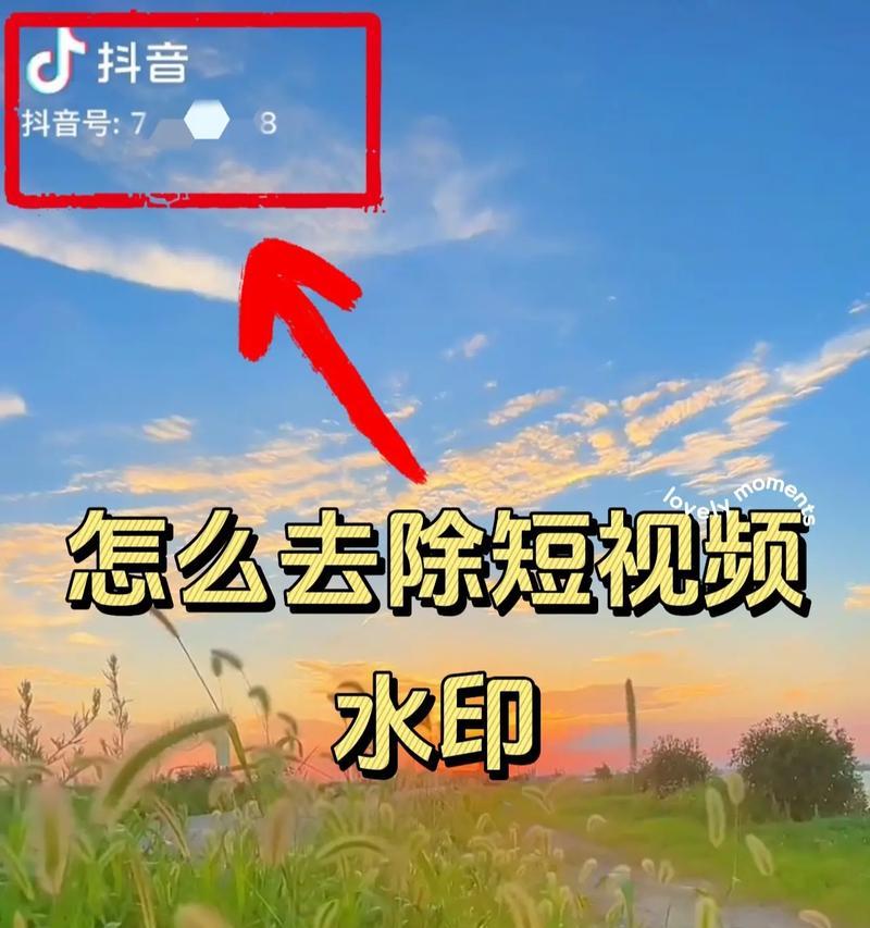 手机拍照小米14水印怎么去掉？去除水印的方法是什么？