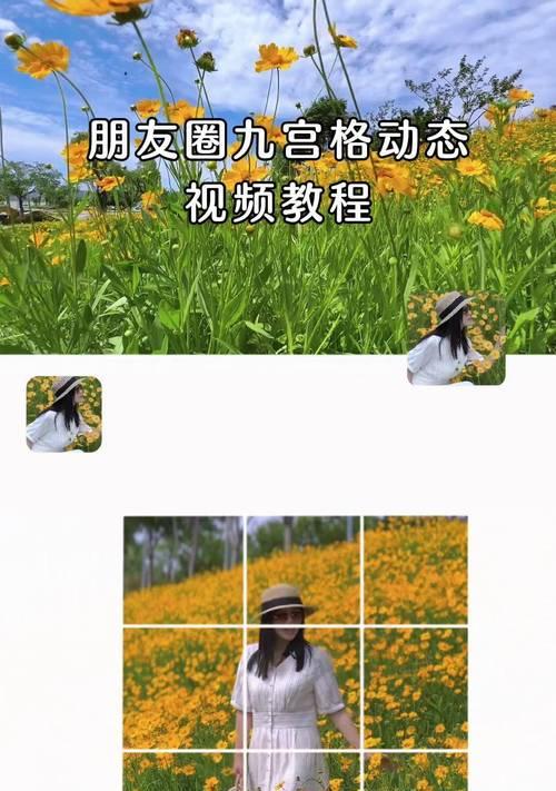 手机拍照拍景色怎么设置？有哪些技巧？