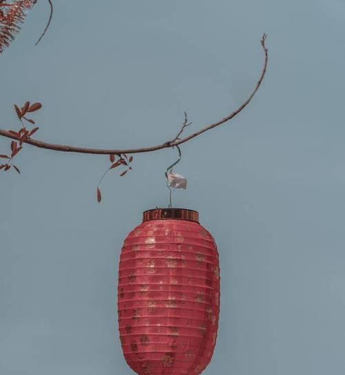 手机如何拍出好看的灯笼照片？拍摄技巧是什么？