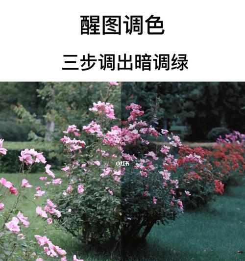 苹果手机拍照偏绿如何调整？