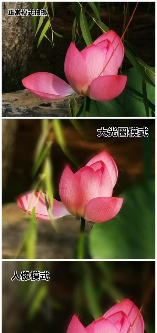 唱拍怎么使用手机拍照片？如何使用唱拍功能拍照？