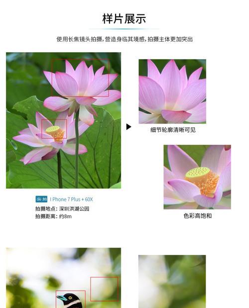 手机如何使用中距长焦摄像头拍照？