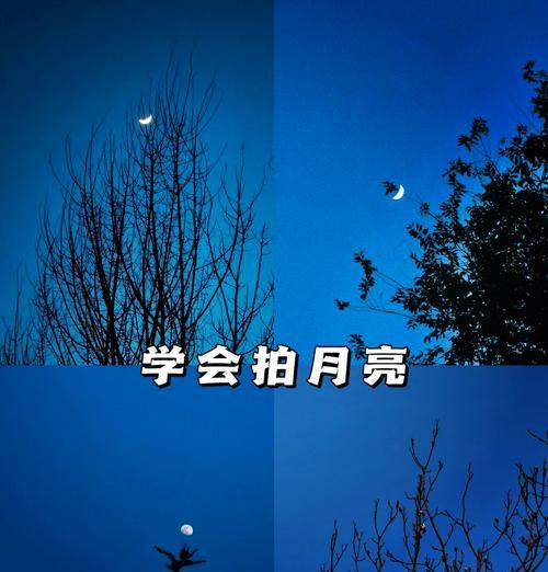 手持手机拍照技巧？如何用手机拍出专业照片？