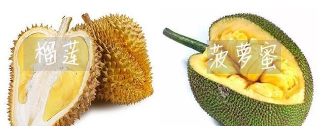 电脑配置怎么看榴莲？电脑配置与榴莲有什么关系？