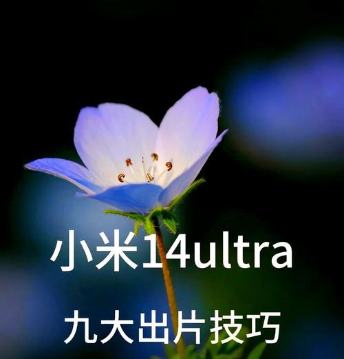 小米手机怎么拍照软件？有哪些拍照技巧可以学习？