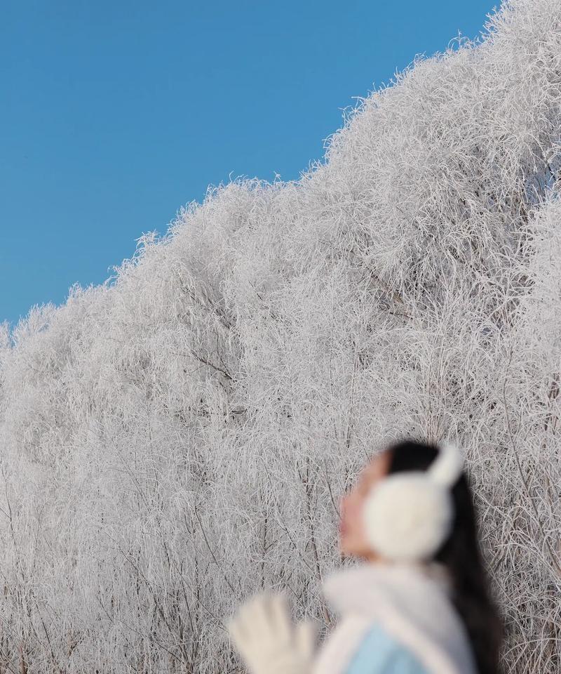 雪天男生手机拍照姿势推荐有哪些？