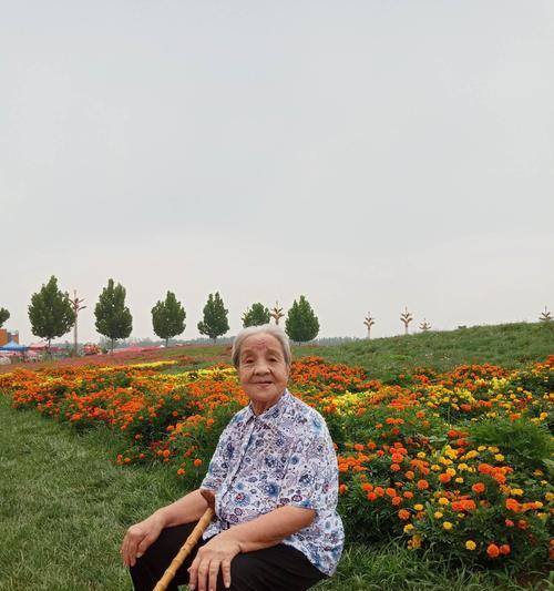 长辈的手机为什么不能拍照？可能是什么原因导致的？