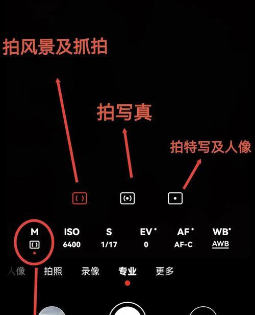 手机专业拍照模式如何调整？详细步骤是什么？