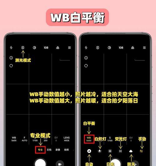 手机专业拍照模式如何调整？详细步骤是什么？