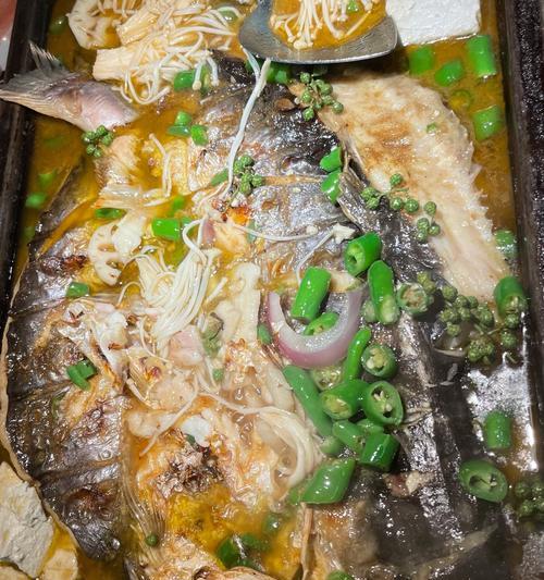 用运动相机探鱼怎么用手机拍照？如何使用运动相机进行探鱼拍照？