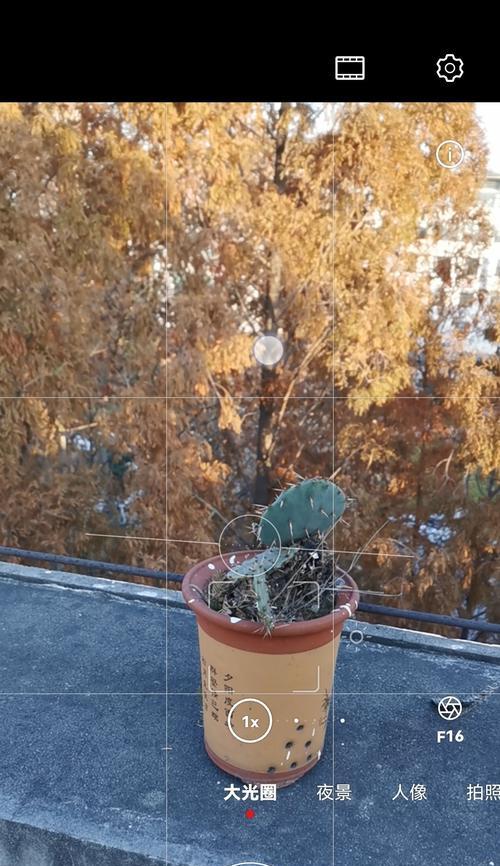 手机拍照头顶出现光圈怎么解决？光圈影响照片质量吗？