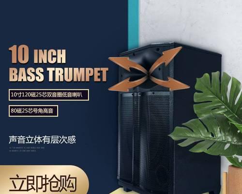 进口拉杆广场音箱的操作指南是什么？