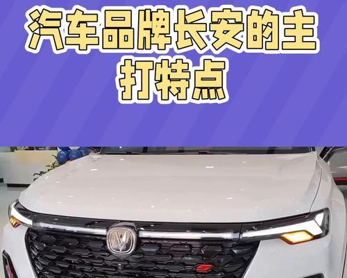 长安原车充电器的功率标准是多少瓦？