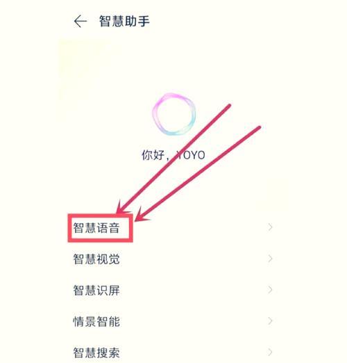 苹果手机如何开启语音权限？