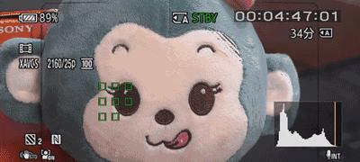 索尼相机动态拍摄设置方法是什么？