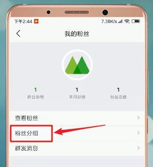 苹果手机分组模块的使用方法是什么？它有哪些功能？