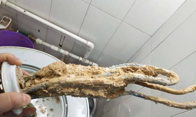 小奶橘热水器的清洗步骤是怎样的？
