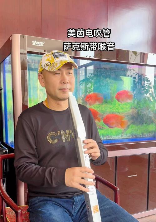 音箱吹电吹管使用技巧是什么？如何正确吹奏？