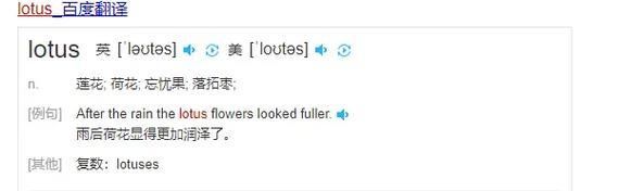 服务器代码翻译困难怎么办？