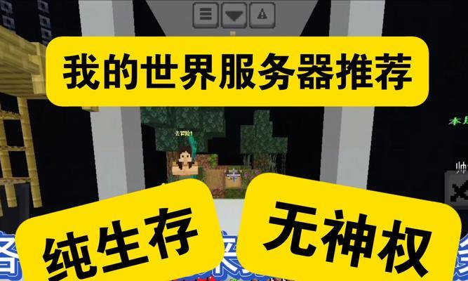 哪个服务器玩mc更好玩？