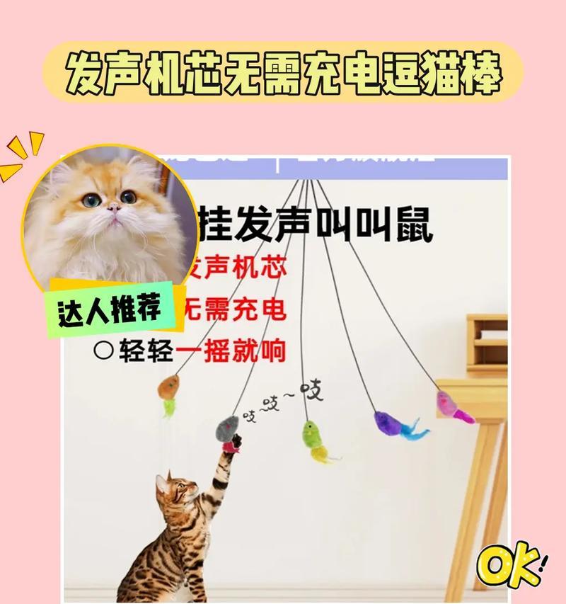 老鼠充电器怎么用？使用方法是什么？