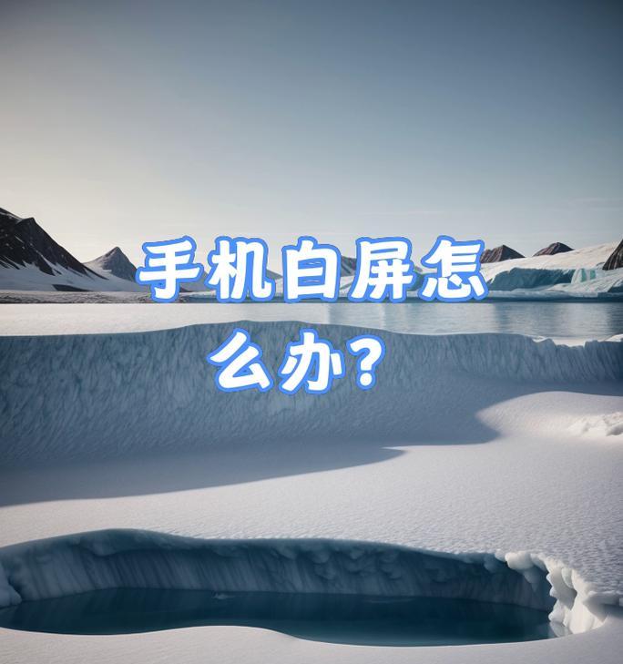 苹果手机白屏官方维修流程是什么？