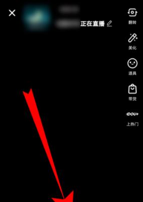 苹果手机如何观看直播连麦视频？遇到问题怎么办？