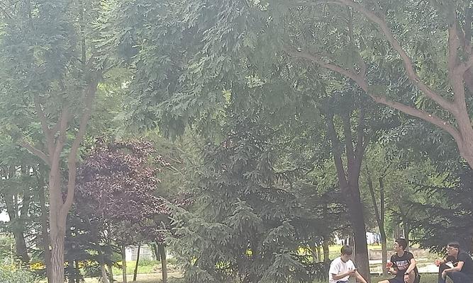 宁厦数码相机在知乎上的评价如何？