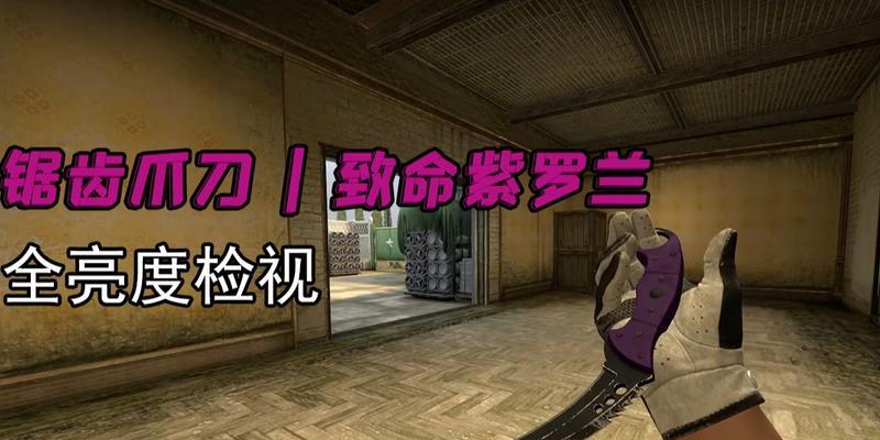 cs社区检视服务器进入方法？遇到问题怎么办？
