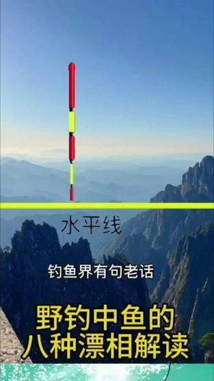 漂相追踪摄像头手机拍照操作是什么？