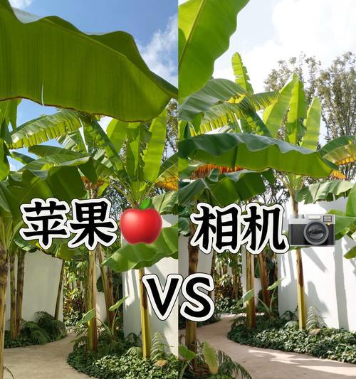 苹果相机手机外壳的材质和特点是什么？