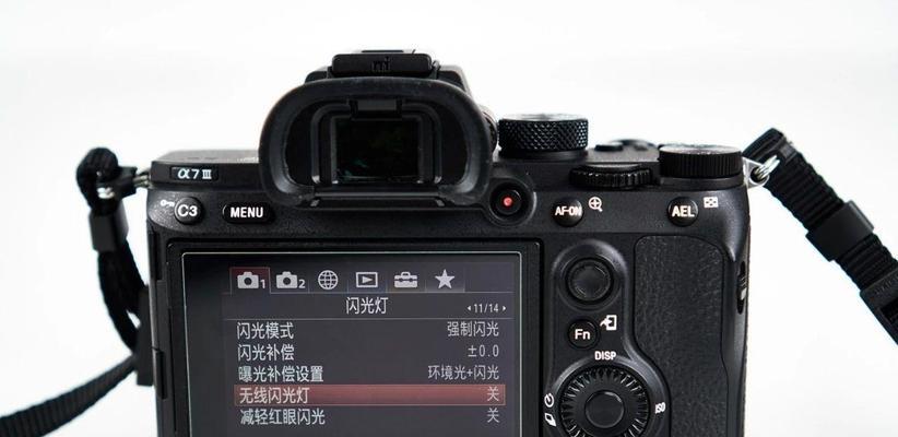 有闪光灯的数码相机型号和特点是什么？