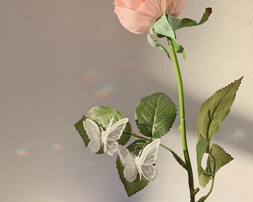 苹果手机灵动感是什么意思？如何体验？