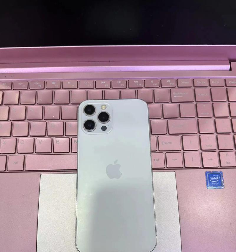 小李使用的苹果手机型号是什么？