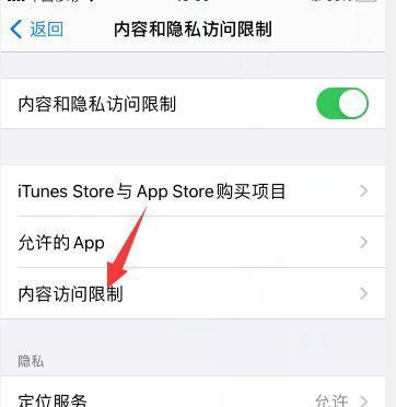苹果电脑隐藏的项目怎么找？查找方法和步骤是什么？