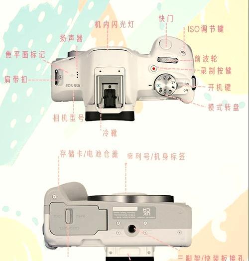 佳能左手相机的操作指南是什么？