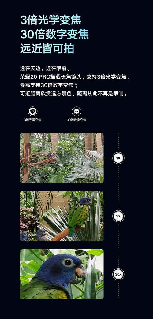 荣耀拍照双防抖手机设置方法是什么？