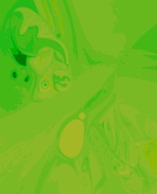 苹果手机屏幕出现绿色层怎么办？