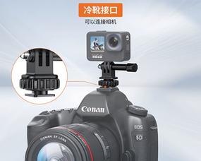 相机底座佳能拆卸步骤是什么？